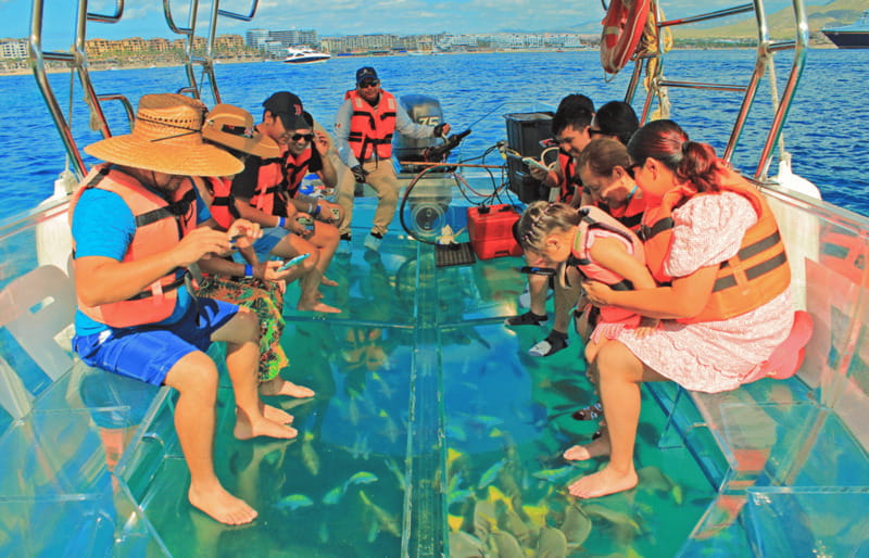 Los Cabos Arch & PelicanRock Cabo San Lucas CrystalBoat Tour - Practical details before you board