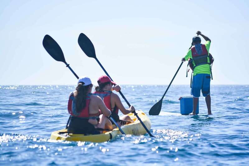 Los Cabos Arch & Playa del Amor Tour by Glass Bottom Kayak - Should you book the Los Cabos Arch kayak tour?