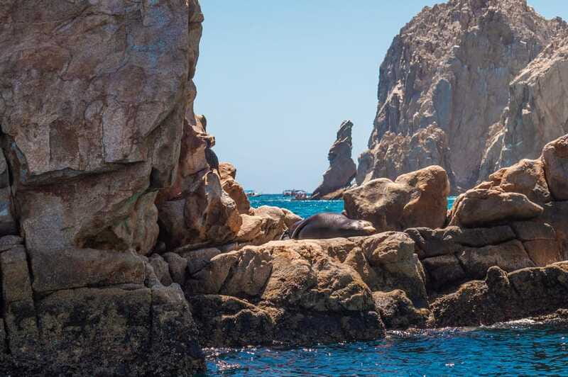 los cabos arch tour & drinks +snorkel tour - What the $52 price really buys