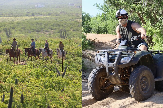 Los Cabos ATV and Pacific Horseback Riding Combo Tour - Two Baja rides, one ranch setting