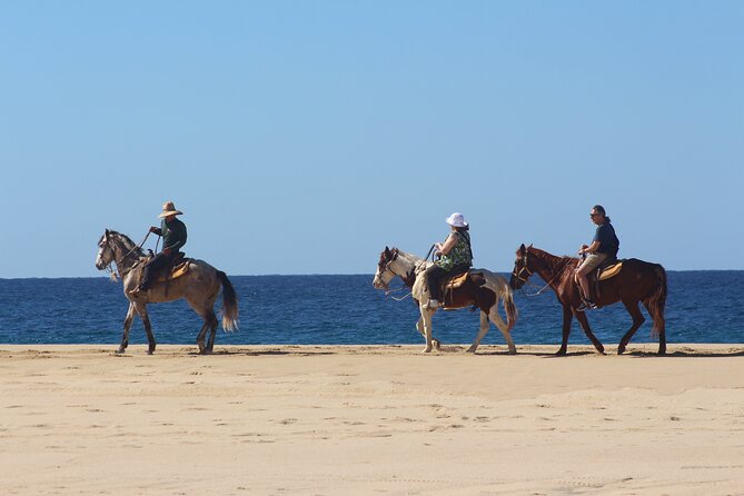 Los Cabos ATV and Pacific Horseback Riding Combo Tour - What is included, and what costs extra
