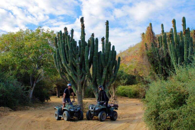 Los cabos:ATV beach&desert with transfer & tequila tasting - Tequila tasting: a pleasant extra, but confirm it