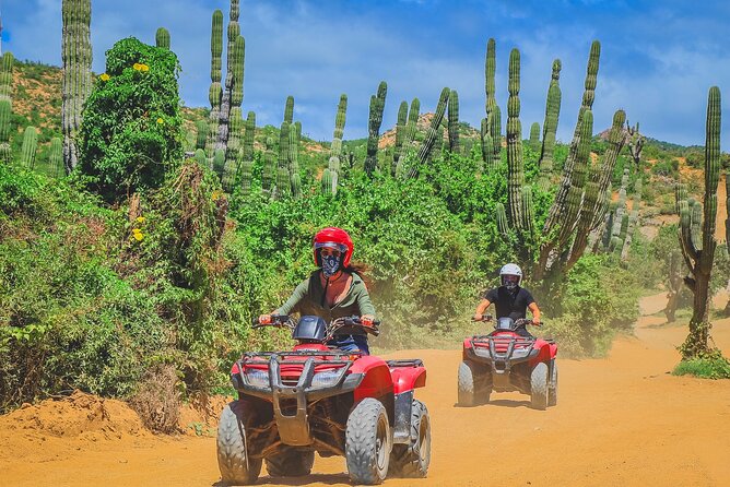 Los Cabos ATV Tour Double Rider - Should You Book the Los Cabos Double-Rider ATV Tour?