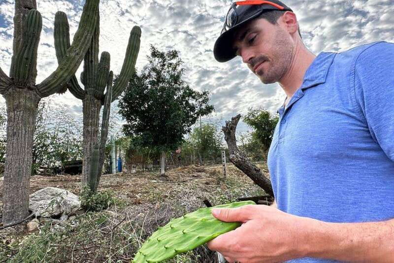 Los Cabos: Azteca Cactus Taco Farm to Table Cooking Class - Who will enjoy this Cabo cooking class