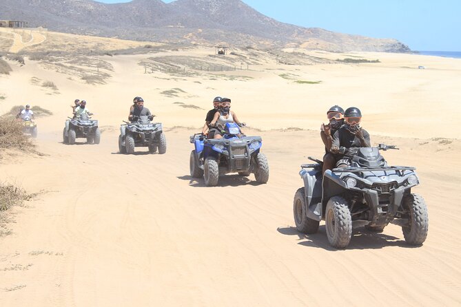 Los Cabos Beach & Desert Tour in Automatic ATV + Tequila Tasting - The desert trails and the old cactus
