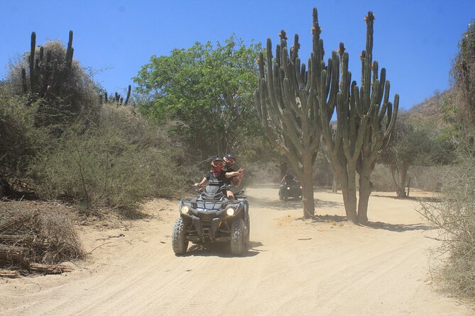 Los Cabos Beach & Desert Tour in Automatic ATV + Tequila Tasting - Mountain views on the way to the Pacific
