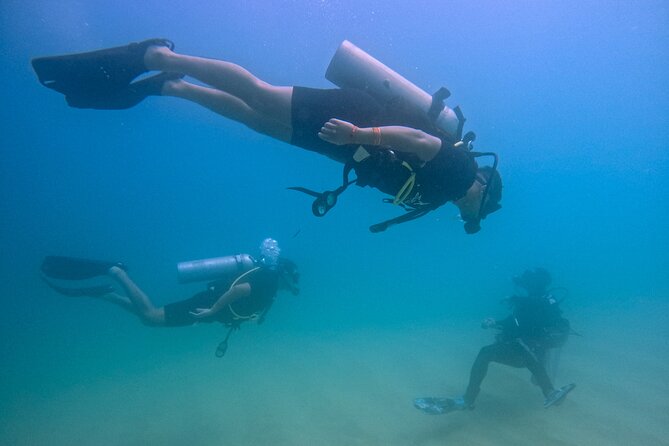 Los Cabos Beginner Scuba Dive Experience - A gentle first step into scuba in Cabo