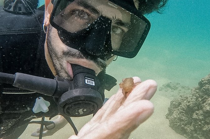 Los Cabos Beginner Scuba Dive Experience - Why the maximum group size matters
