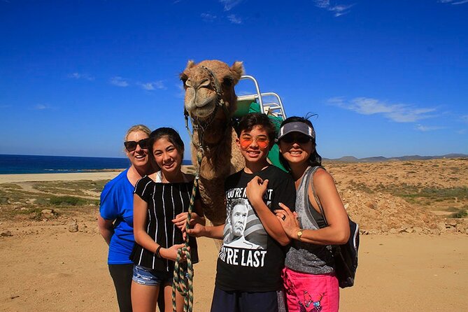 Los Cabos Camel Ride Adventure On The Beach - Mexican buffet lunch after the ride