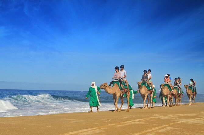 Los Cabos Camel Ride Adventure On The Beach - The $109 price and the extra $25 fee