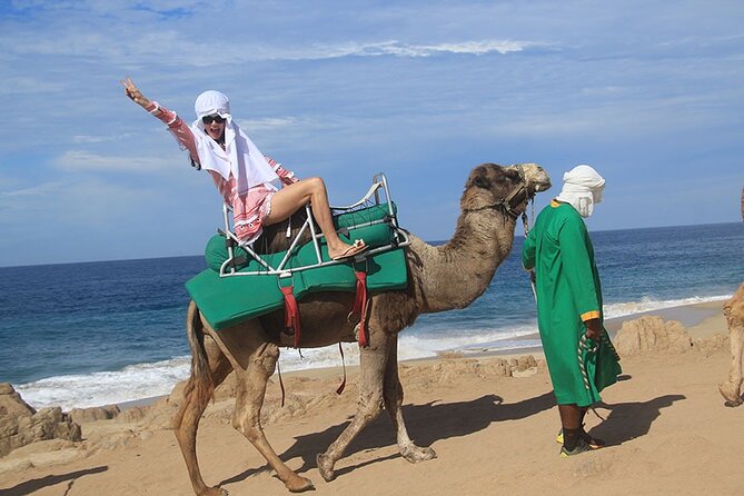 Los Cabos Camel Ride Adventure On The Beach - Transport, pickup, and the time you really need