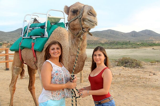Los Cabos Camel Ride Adventure On The Beach - Who will enjoy this Cabo outing most