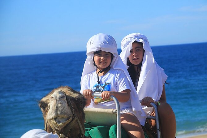 Los Cabos Camel Ride Adventure On The Beach - Booking, cancellation, and weather details