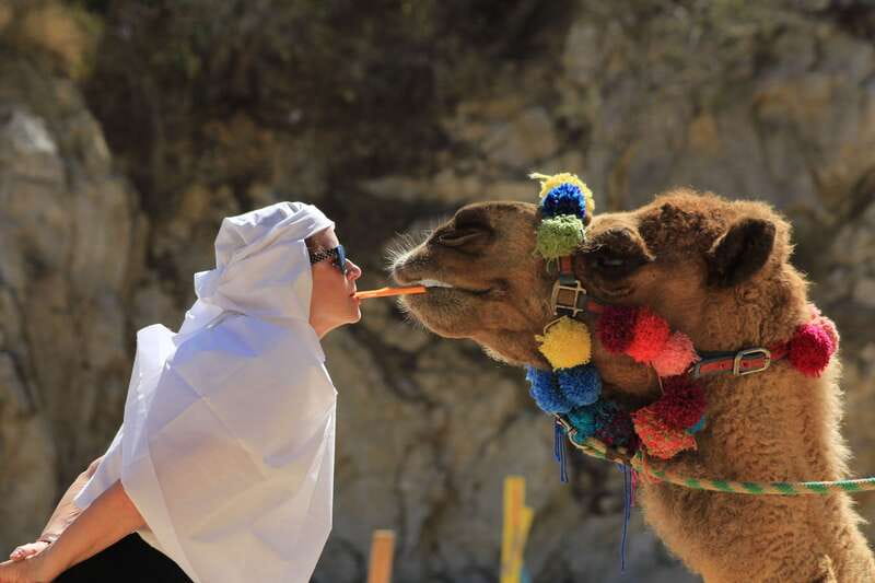 Los Cabos: Camel Ride in the Canyon & Thrilling Water-Slides - Key points to know before you go