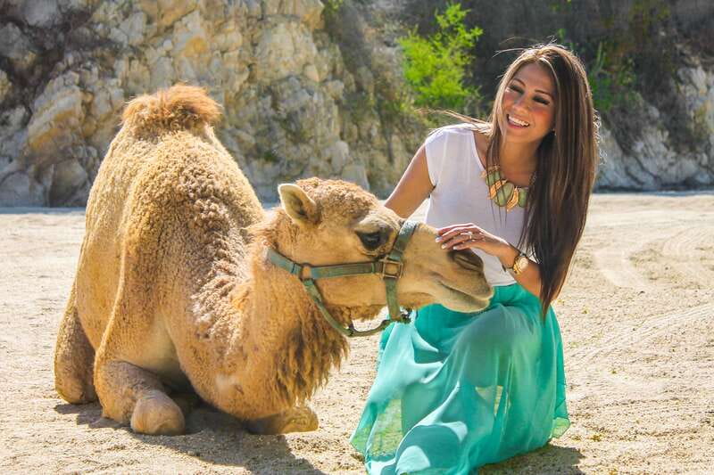 Los Cabos: Camel Ride in the Canyon & Thrilling Water-Slides - The rescued-animal sanctuary after the ride