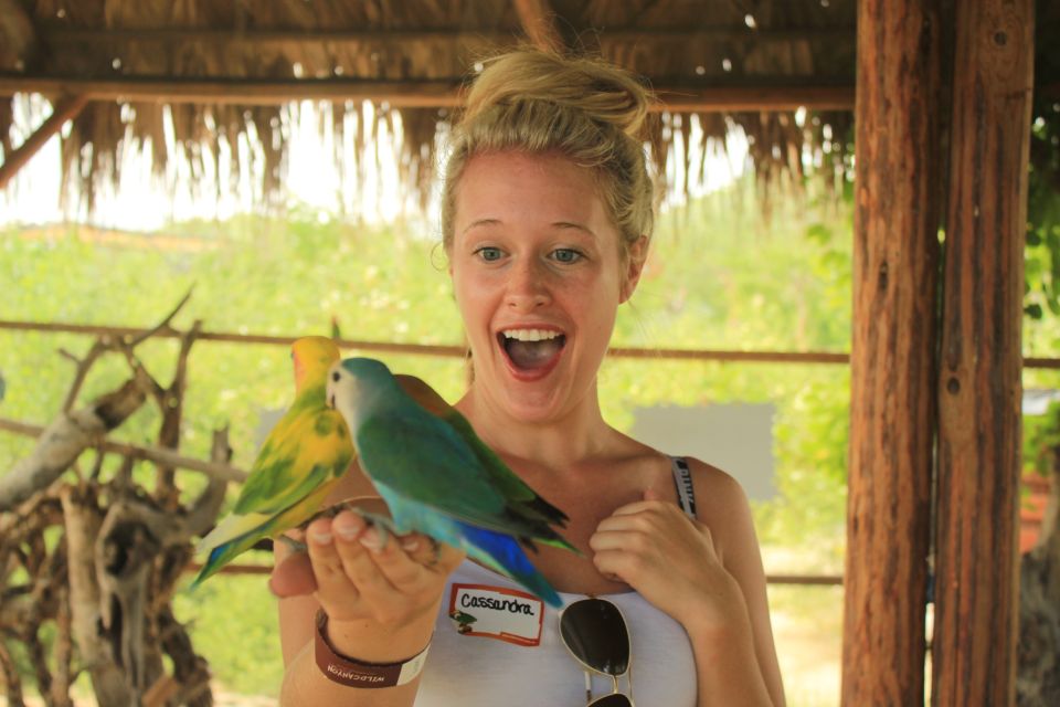 Los Cabos: Camel Ride in the Canyon & Thrilling Water-Slides - Quesadillas and tropical drinks at Lion’s Den