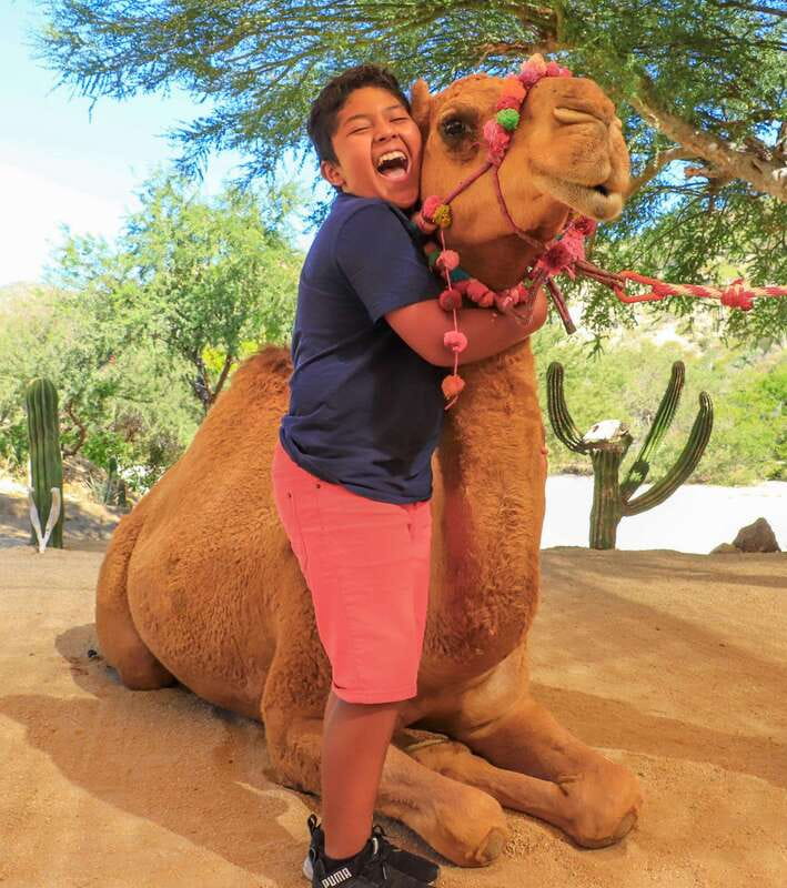 Los Cabos: Camel Ride in the Canyon & Thrilling Water-Slides - What the three-hour schedule feels like