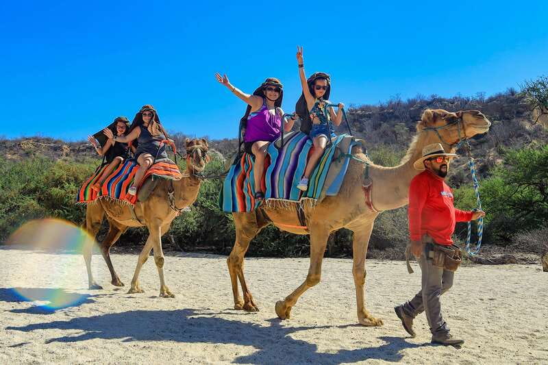 Los Cabos: Camel Ride in the Canyon & Thrilling Water-Slides - The camera rule is a serious consideration