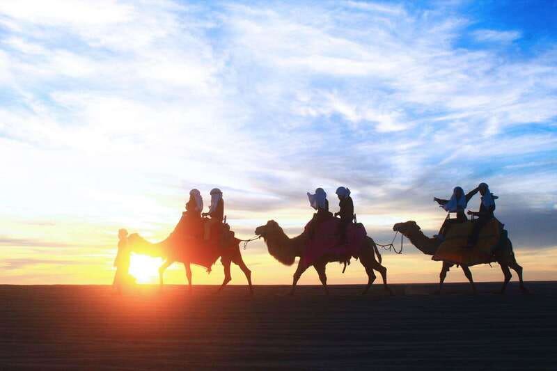 Los Cabos: Camel Ride Safari with Lunch and Tequila Tasting - Camels, surf, and Baja desert in one compact outing