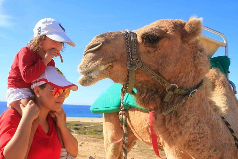 Los Cabos: Camel Ride Safari with Lunch and Tequila Tasting - Riding beside the Pacific Ocean