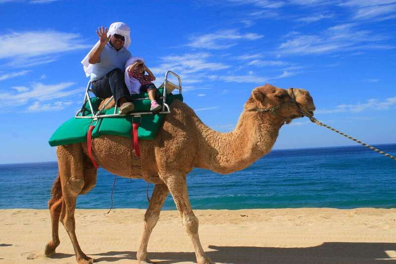 Los Cabos: Camel Ride Safari with Lunch and Tequila Tasting - Walking through the ecological reserve