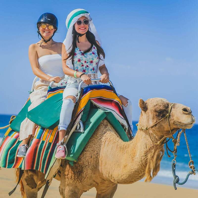 Los Cabos: Camel Ride Safari with Lunch and Tequila Tasting - A burrito, flavored water, and a practical lunch break