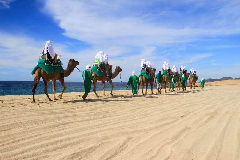 Los Cabos: Camel Ride Safari with Lunch and Tequila Tasting - Tequila tasting with a lesson behind it