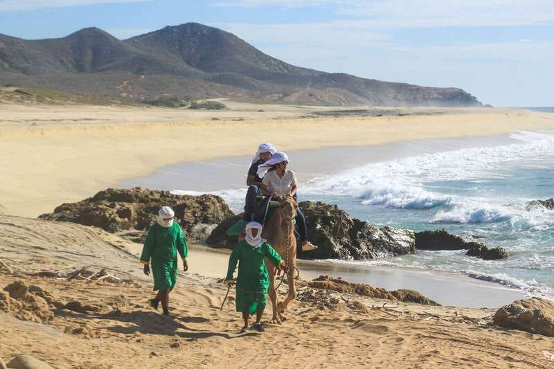 Los Cabos: Camel Ride Safari with Lunch and Tequila Tasting - Timing, comfort, and what to bring