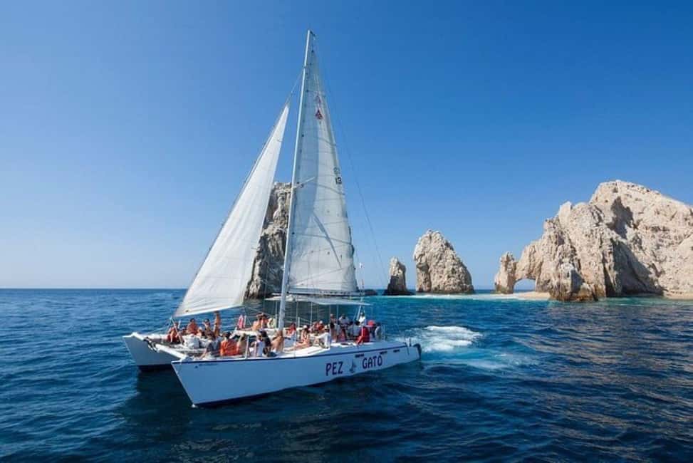 Los Cabos: Catamaran Whale Watching Cruise - Two hours on the Pacific in search of whales