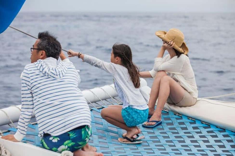 Los Cabos: Catamaran Whale Watching Cruise - Is $95 a fair price?