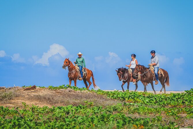 Los Cabos Combo: ATV + Horseback Riding - Group size, safety, and the pace of the day