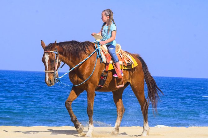 Los Cabos - COMBO Horseback Riding & ATV Tour - From hotel pickup to the G-Force park