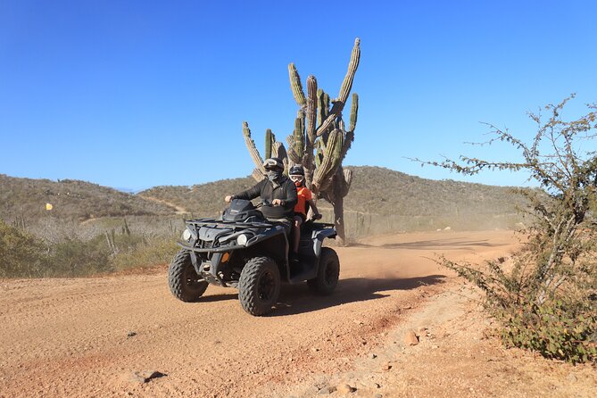 Los Cabos - COMBO Horseback Riding & ATV Tour - Who will enjoy this combination most?