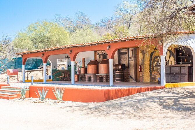 Los Cabos Costa Azul Zipline Eco-Adventure - Who should book this adventure