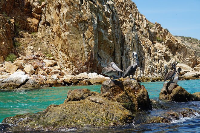 Los Cabos Deluxe City Tour: San Jose, San Lucas and The Arch - Lunch at Jazmin’s in San José del Cabo