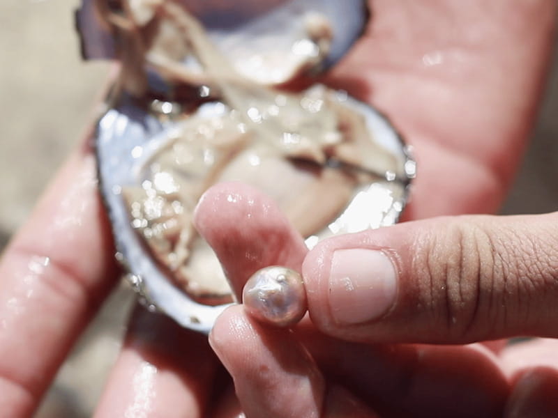 LOS CABOS ENCOUNTER - San José del Cabo and its old-fashioned center