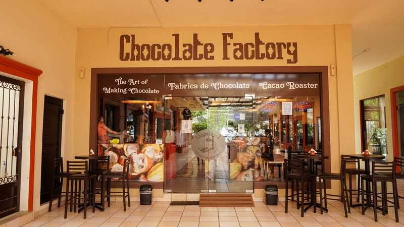 Los Cabos Famous Arch cruise, City tour and Lunch - Chocolate, cacao, and a taste of Mexico