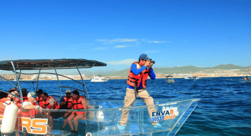 Los Cabos: Get to know the arch on the iconic transparent boat tour - Who should book this one-hour boat ride