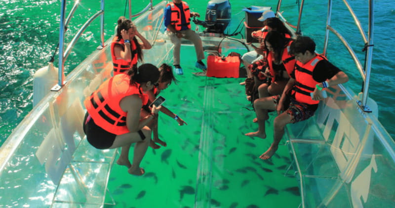 Los Cabos: Get to know the arch on the iconic transparent boat tour - Booking, cancellation, and practical details