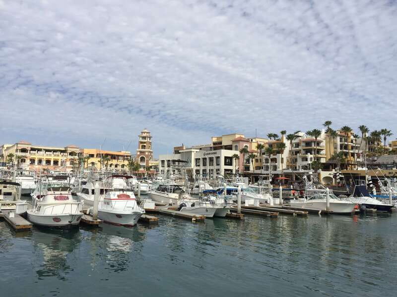 Los Cabos: Half-Day San Lucas and San Jose Tour - Lunch at a local restaurant