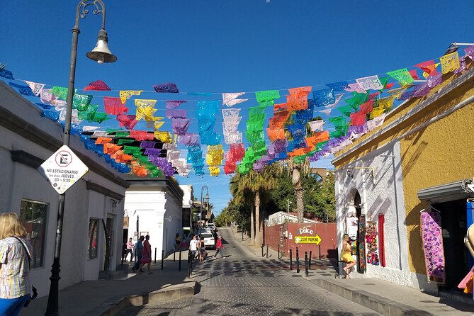 Los Cabos Half-Day Tour Discovering San Jose and San Lucas - Two Cabos in six hours