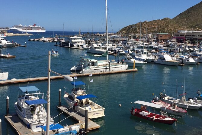 Los Cabos Half-Day Tour Discovering San Jose and San Lucas - Cabo San Lucas plazas, marina, and lunch