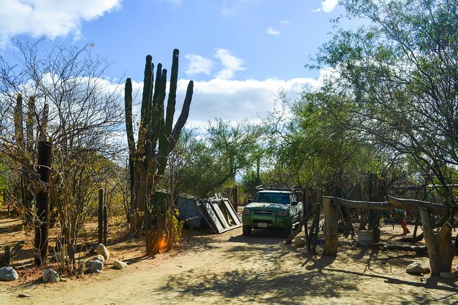 Los Cabos: Hiking at the Fox Canyon with Waterfall - Why Fox Canyon is worth leaving Cabo for