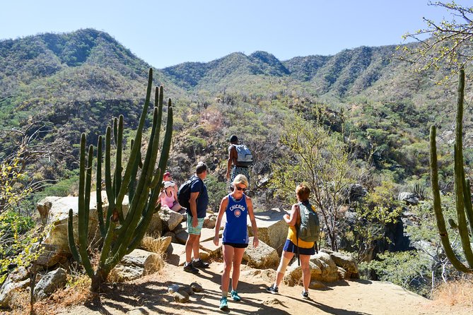 Los Cabos: Hiking at the Fox Canyon with Waterfall - The waterfall, pools, and optional adventure