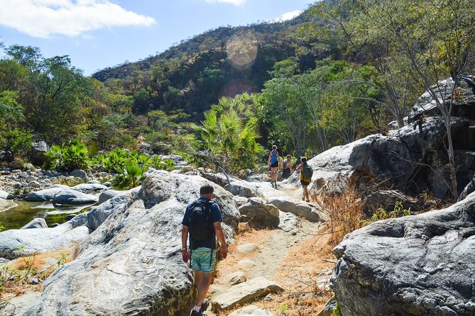 Los Cabos: Hiking at the Fox Canyon with Waterfall - What the guides add to the canyon