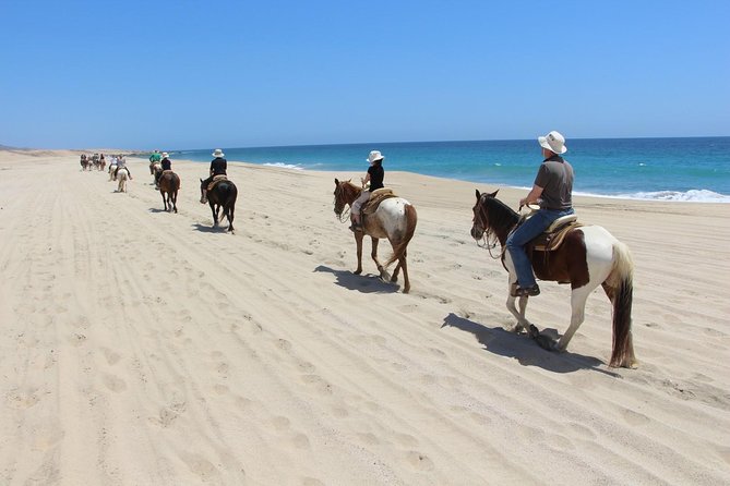 Los Cabos Horseback Riding - Reaching the beach and the Sea of Cortez views