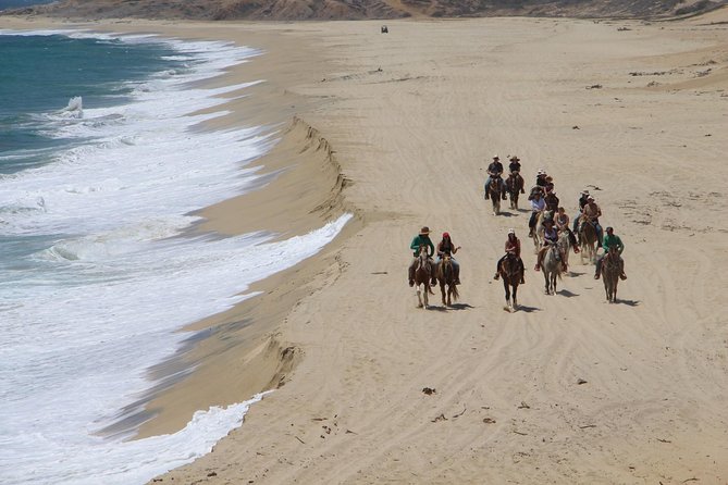 Los Cabos Horseback Riding - The real price: $120 plus park admission