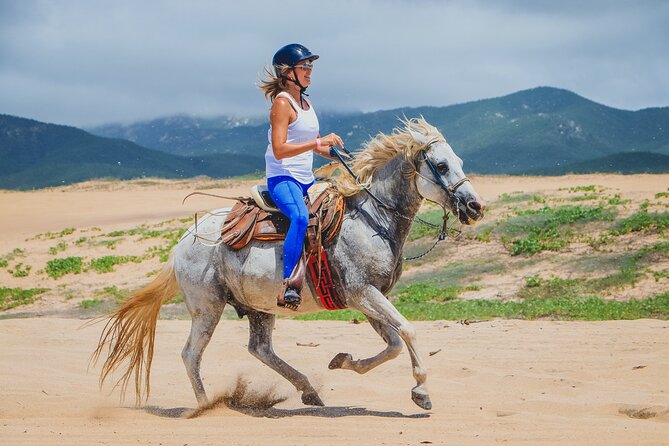 Los Cabos Horseback Riding - Timing, heat, and comfort