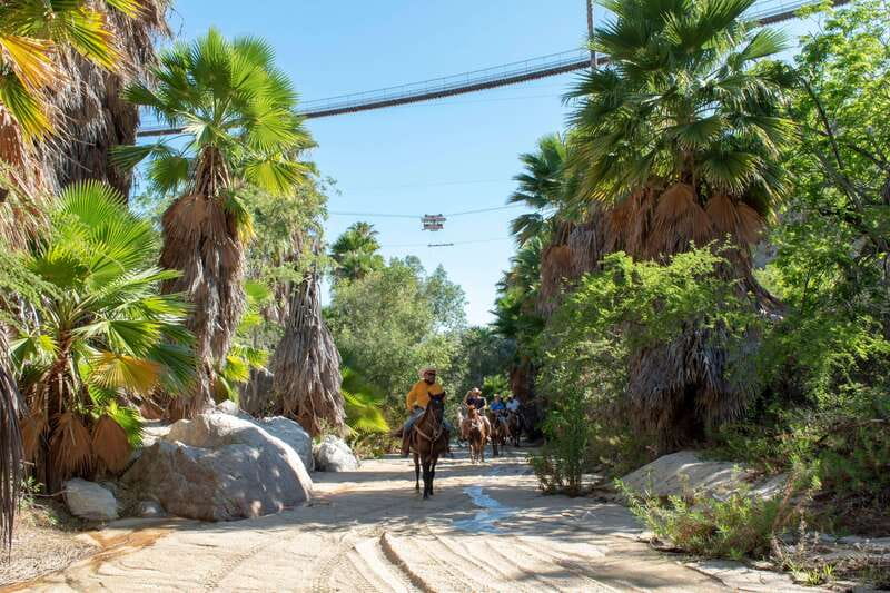 Los Cabos: Horseback Riding in Canyon a Mexican Experience - Riding from the canyon toward the oasis