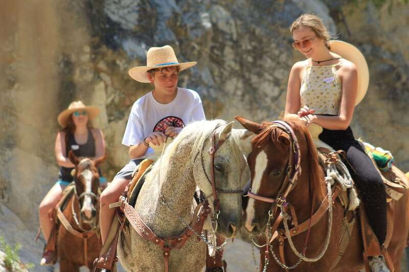Los Cabos: Horseback Riding in Canyon a Mexican Experience - Macaws, reptiles, and the animal sanctuary